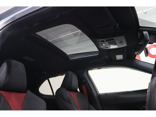 TOYOTA LEXUS UX250h AWD 2023