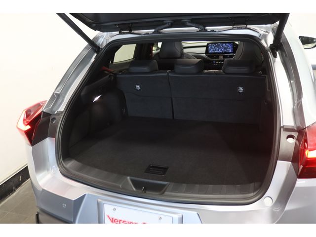 TOYOTA LEXUS UX250h AWD 2023