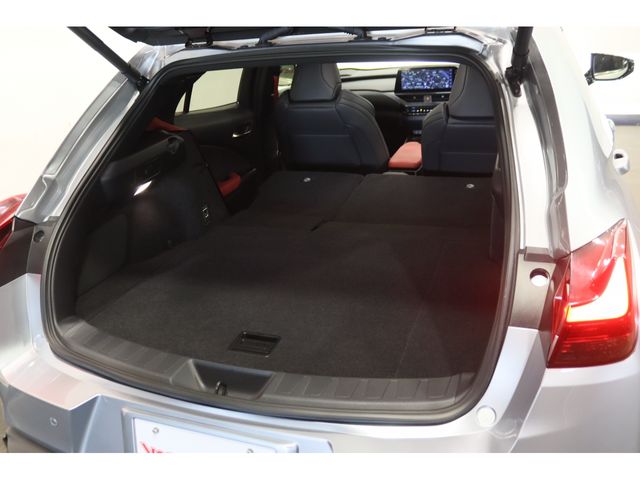 TOYOTA LEXUS UX250h AWD 2023