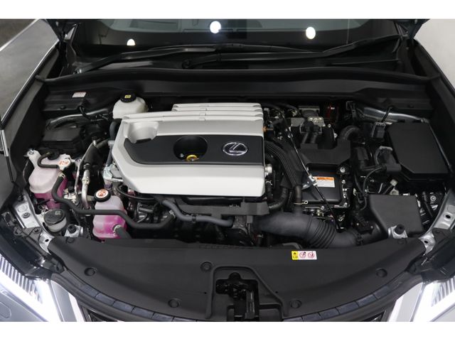 TOYOTA LEXUS UX250h AWD 2023