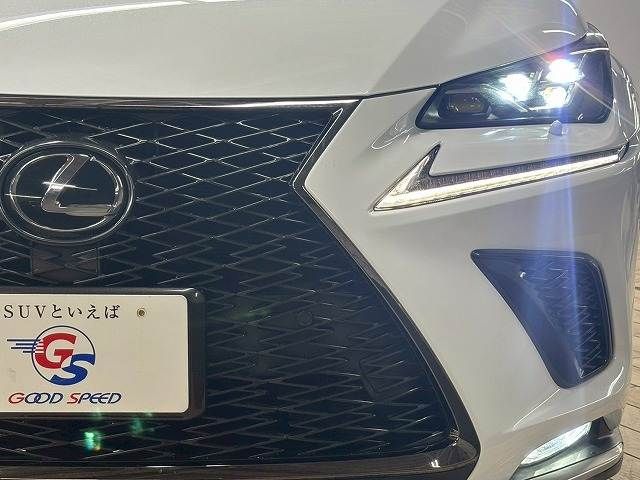 TOYOTA LEXUS NX300 2018
