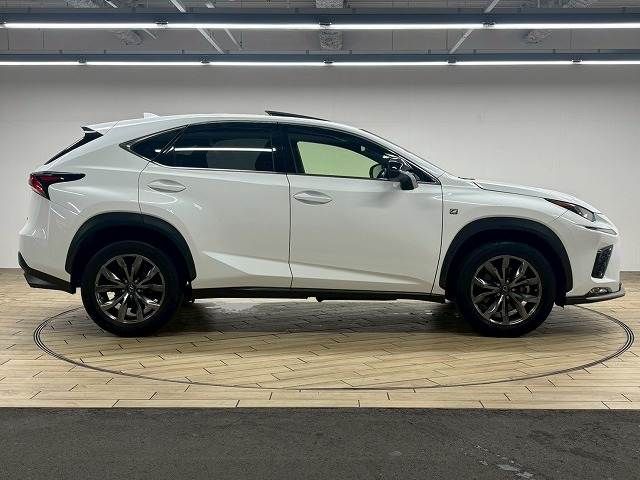 TOYOTA LEXUS NX300 2018