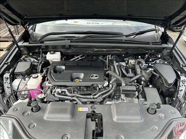 TOYOTA LEXUS NX350h 2024