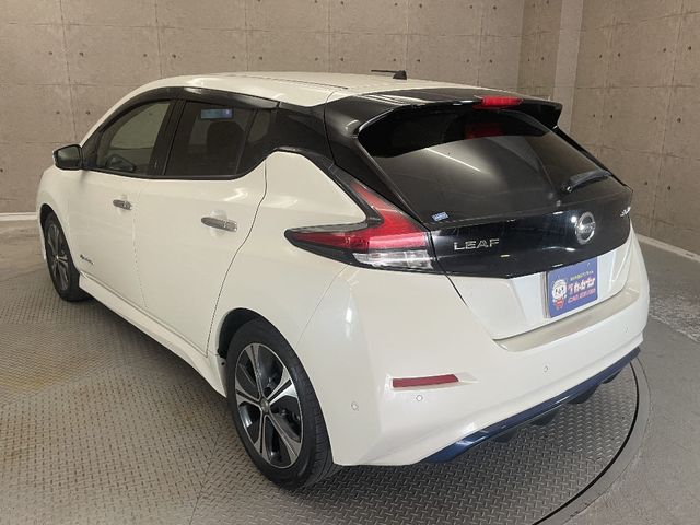 NISSAN LEAF 2018