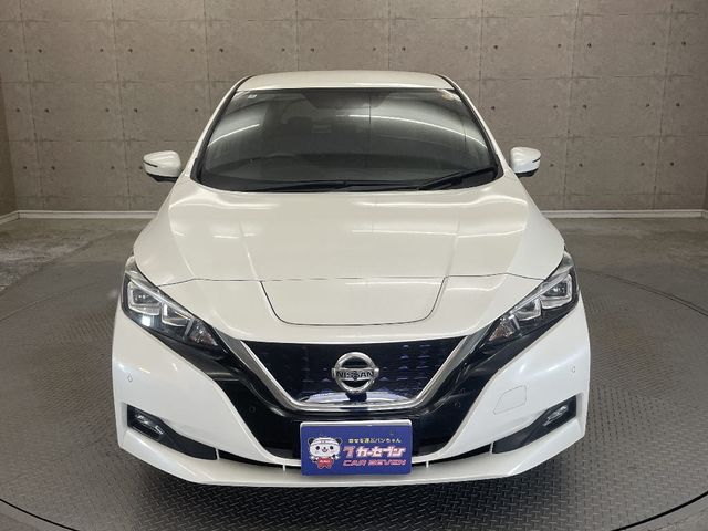NISSAN LEAF 2018