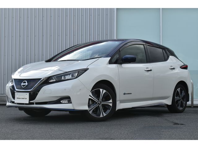 NISSAN LEAF 2020