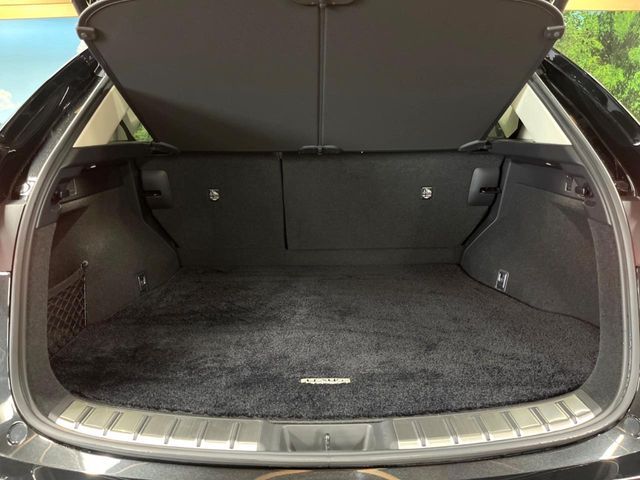 TOYOTA LEXUS NX350h 2023