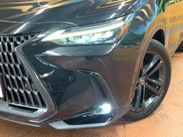 TOYOTA LEXUS NX350h 2023