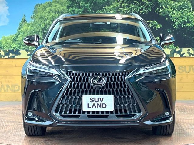 TOYOTA LEXUS NX350h 2023