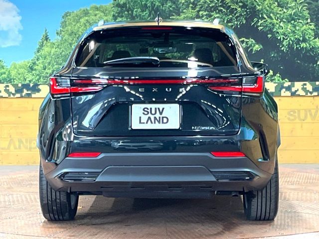 TOYOTA LEXUS NX350h 2023