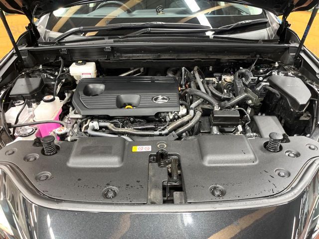 TOYOTA LEXUS NX350h 2023