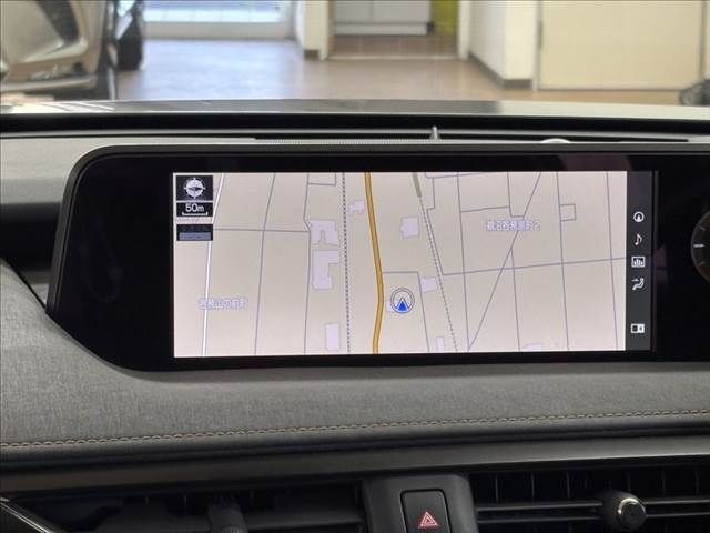 TOYOTA LEXUS UX250h 2021