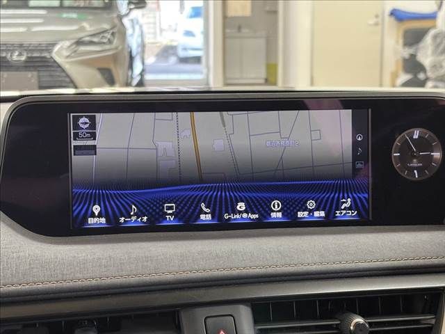 TOYOTA LEXUS UX250h 2021