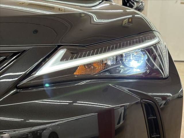 TOYOTA LEXUS UX250h 2021