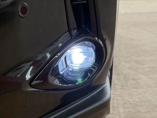 TOYOTA LEXUS UX250h 2021