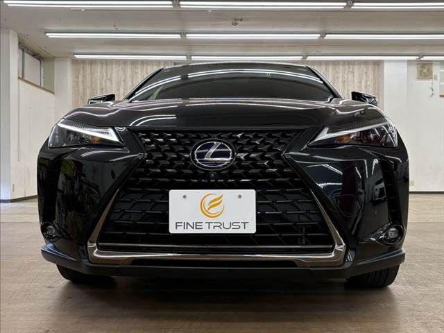 TOYOTA LEXUS UX250h 2021