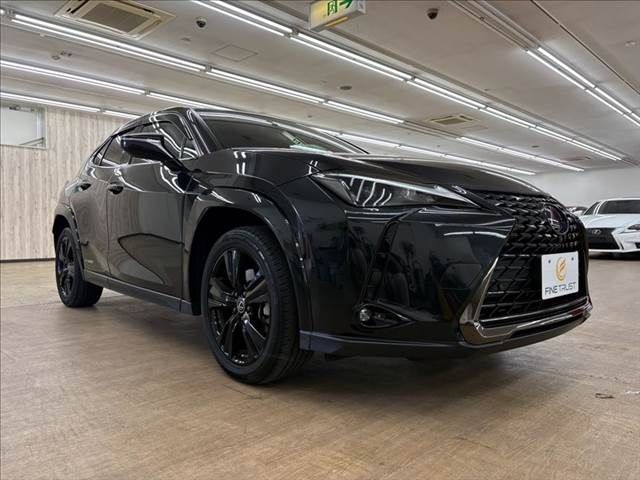 TOYOTA LEXUS UX250h 2021