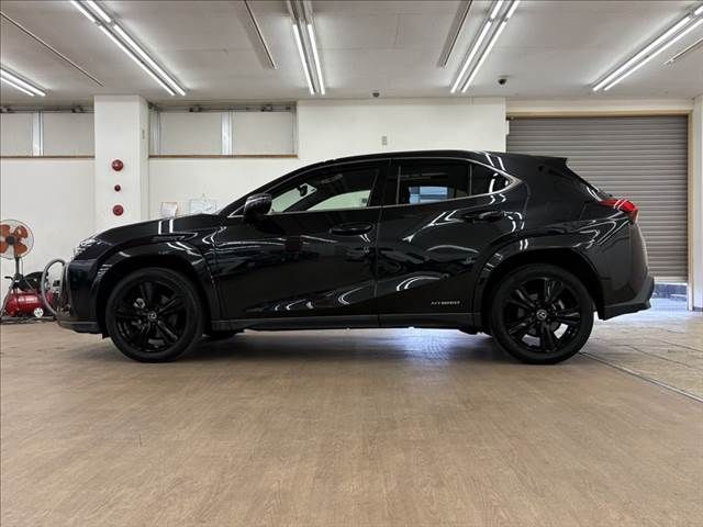 TOYOTA LEXUS UX250h 2021