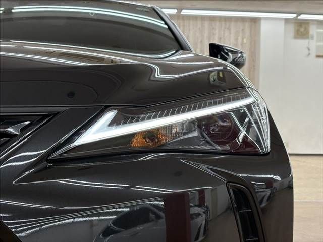 TOYOTA LEXUS UX250h 2021