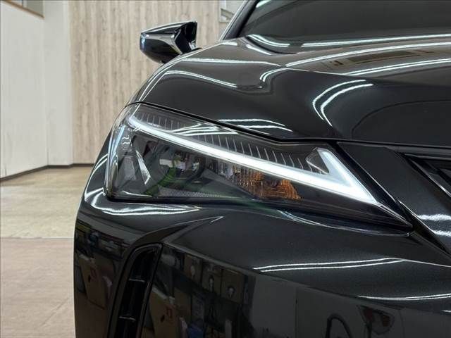 TOYOTA LEXUS UX250h 2021