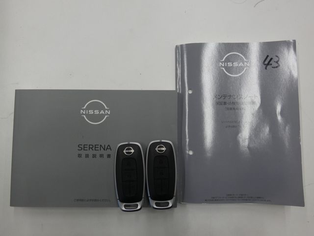 NISSAN SERENA  WG 2025