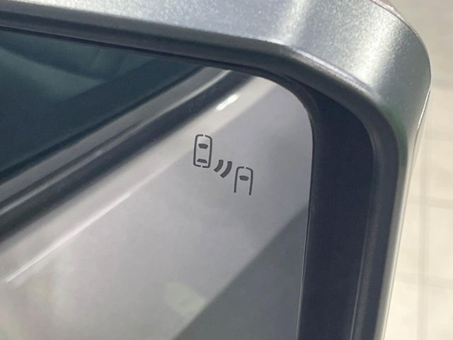 TOYOTA LANDCRUISER 250 2024