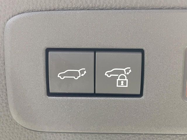 TOYOTA LANDCRUISER 250 2024