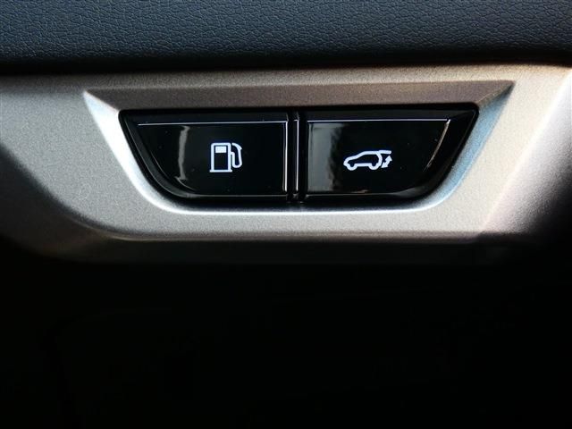 TOYOTA LEXUS RX450h+ 2023