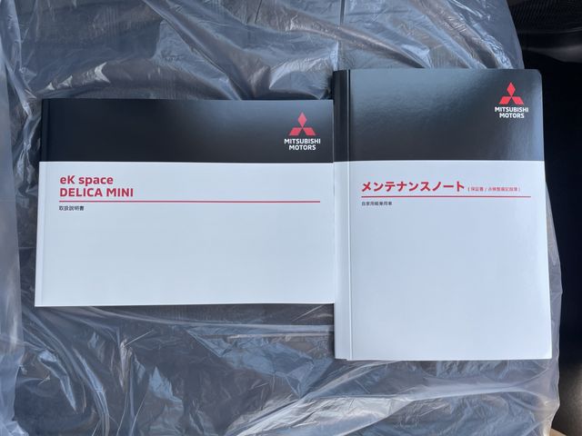 MITSUBISHI DELICA MINI 2025