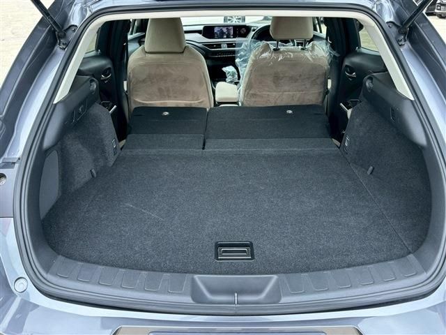 TOYOTA LEXUS UX200 2018