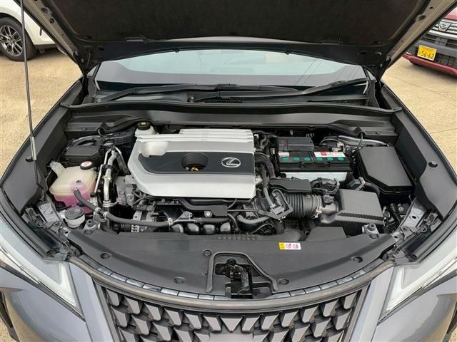 TOYOTA LEXUS UX200 2018