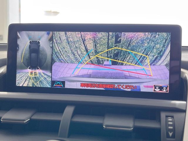 TOYOTA LEXUS NX300h 2018