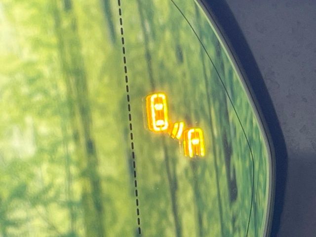 TOYOTA LEXUS NX300h 2018