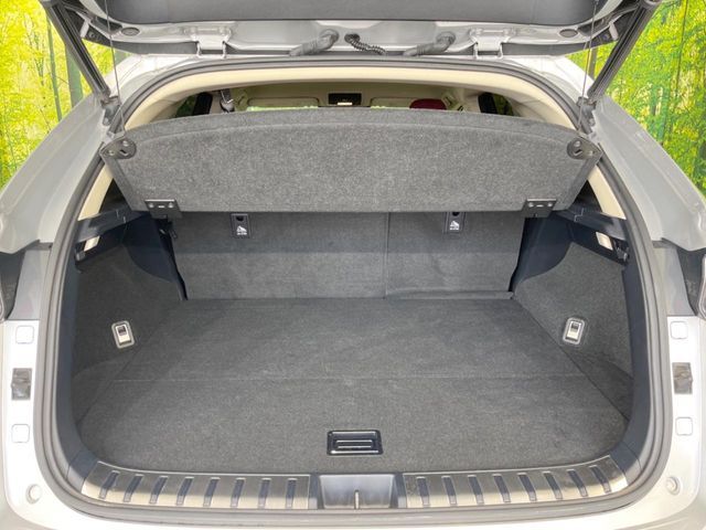 TOYOTA LEXUS NX300h 2018