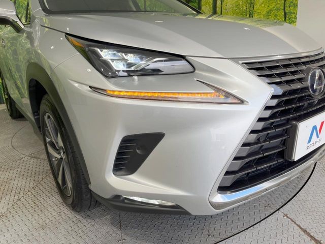 TOYOTA LEXUS NX300h 2018