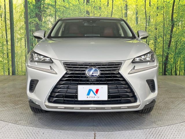 TOYOTA LEXUS NX300h 2018