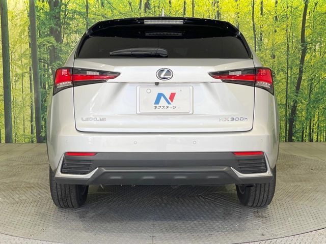 TOYOTA LEXUS NX300h 2018