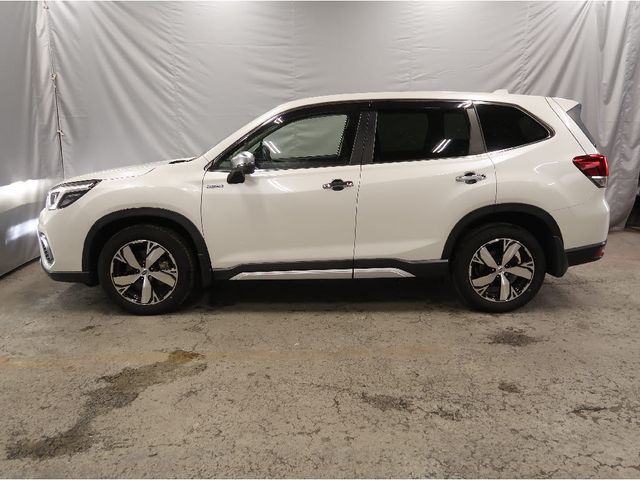 SUBARU FORESTER 2019