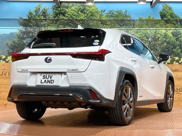 TOYOTA LEXUS UX250h 2020