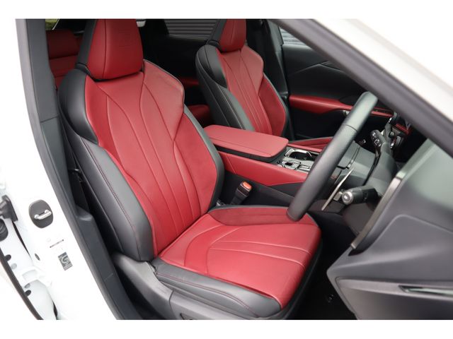 TOYOTA LEXUS RX500h 2023