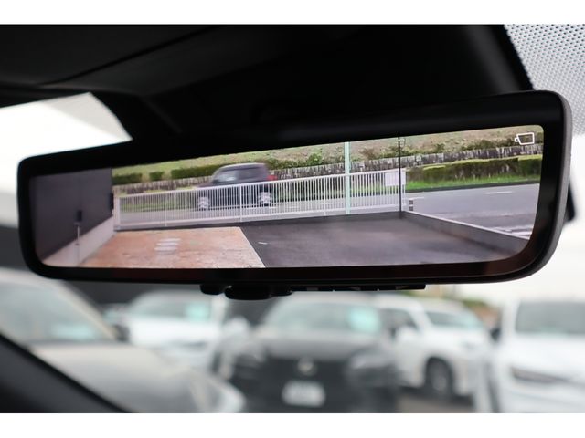 TOYOTA LEXUS RX500h 2023