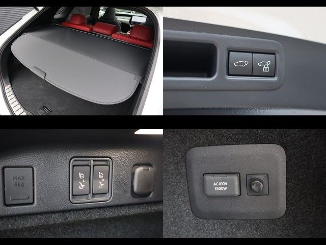 TOYOTA LEXUS RX500h 2023