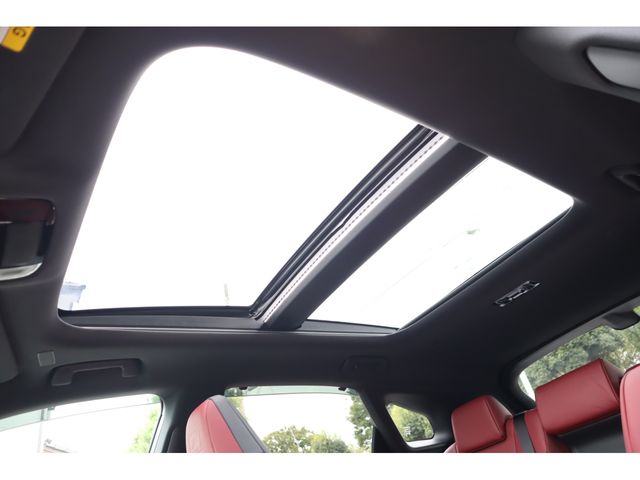 TOYOTA LEXUS RX500h 2023