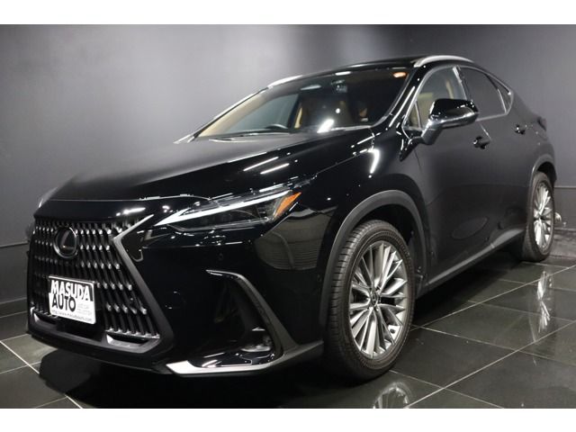 TOYOTA LEXUS NX350h AWD 2023