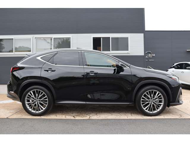 TOYOTA LEXUS NX350h AWD 2023