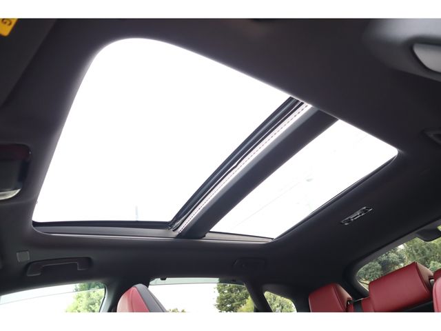 TOYOTA LEXUS RX500h 2023