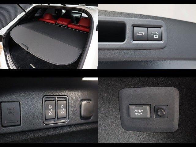 TOYOTA LEXUS RX500h 2023