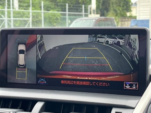 TOYOTA LEXUS NX300h 2018