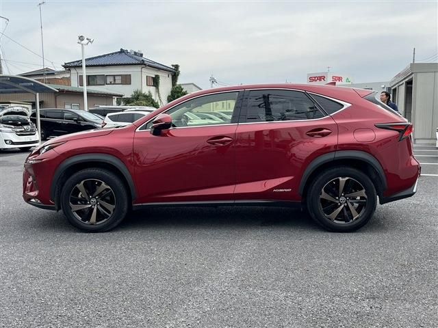 TOYOTA LEXUS NX300h 2018