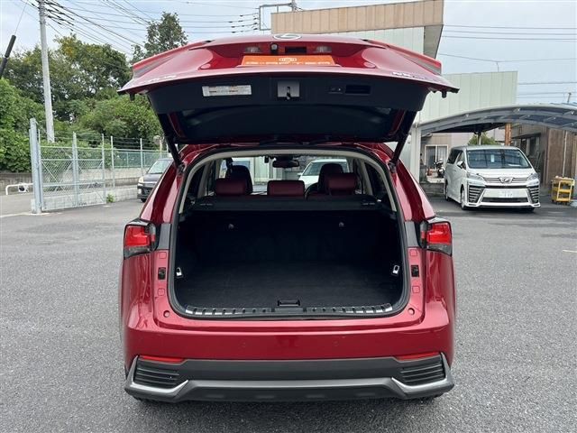 TOYOTA LEXUS NX300h 2018